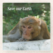 aap - grootvader glazen onderzetter (Voorkant)