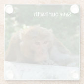 aap - grootvader glazen onderzetter (Achterkant)