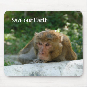 aap - grootvader muismat