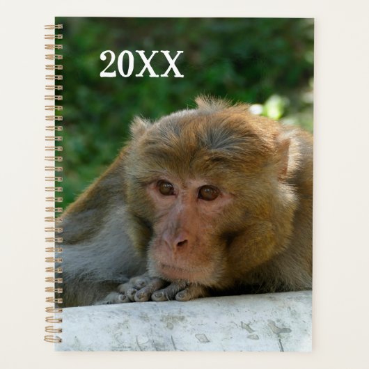 aap - grootvader planner (Voorkant)