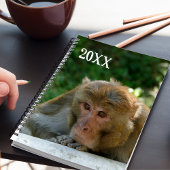 aap - grootvader planner