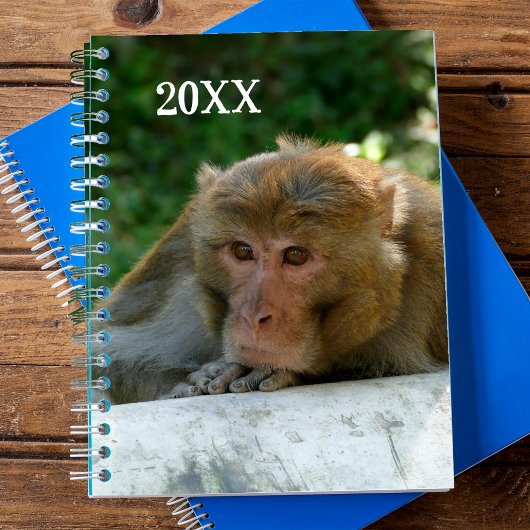 aap - grootvader planner
