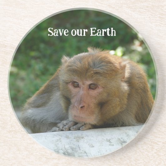 aap - grootvader zandsteen onderzetter (Voorkant)