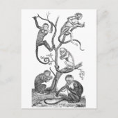  aap-illustratie - 1800 apen briefkaart (Voorkant)