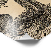  aap-illustratie - 1800 apen foto afdruk (Hoek)