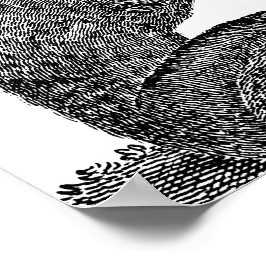  aap-illustratie - 1800 apen poster (Hoek)