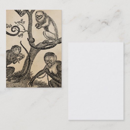  aap-illustratie - 1800 apen visitekaartje (Voorkant / Achterkant)