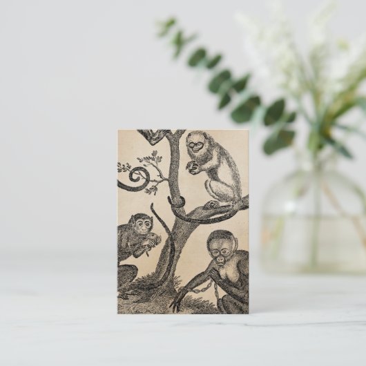  aap-illustratie - 1800 apen visitekaartje (Staand voorkant)
