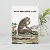  aap illustratie | Diersoort dierentuin Kaart (Staand voorkant)