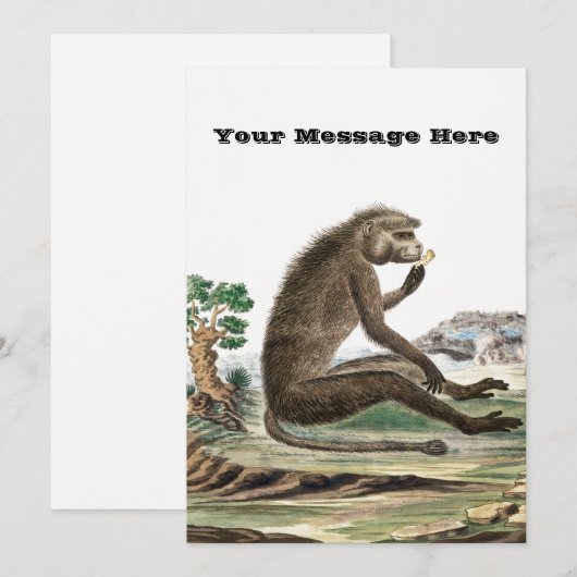  aap illustratie | Diersoort dierentuin Kaart (Voorkant / Achterkant)