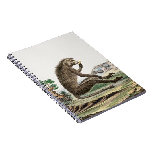  aap illustratie | Diersoort dierentuin Notitieboek (Rechterzijde)