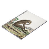  aap illustratie | Diersoort dierentuin Notitieboek (Linkerzijde)