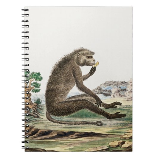  aap illustratie | Diersoort dierentuin Notitieboek (Voorkant)