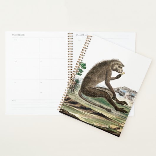  aap illustratie | Zoo Animal Ape Jigsa Planner (Display)