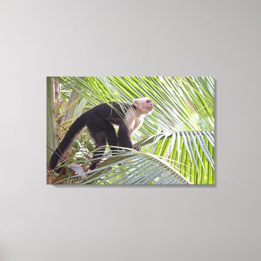 Aap in Bamboe Oerwoud Foto Canvas Afdruk (Voorkant)