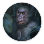 Aap in de jungle keramische knop (Voorkant)
