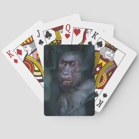 Aap in de jungle pokerkaarten (Achterkant)