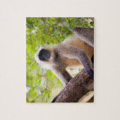 Aap in de jungle van Ranthambore National Park Legpuzzel (Verticaal)
