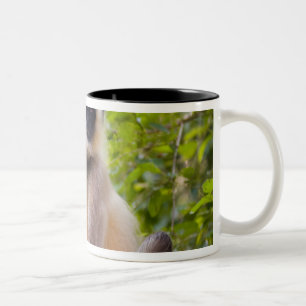 Aap in de jungle van Ranthambore National Park Tweekleurige Koffiemok