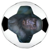 Aap in de jungle voetbal (Gedraaid)