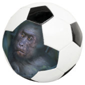 Aap in de jungle voetbal (Drie kwart)