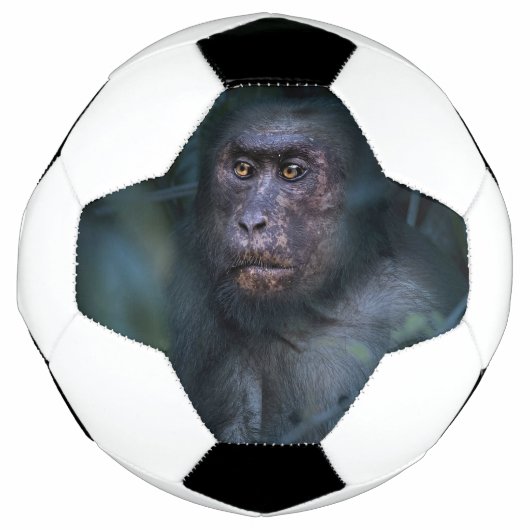 Aap in de jungle voetbal (Voorkant)