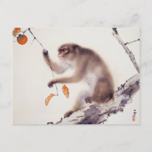 aap in een Persimmon-boom Briefkaart