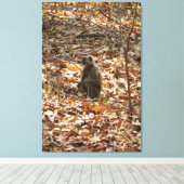 aap in het droge seizoen canvas afdruk (Insitu (Houten vloer))