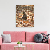 aap in het droge seizoen canvas afdruk (Insitu (Woonkamer))