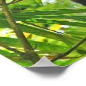 aap in het Oerwoud Bamboe Poster (Hoek)