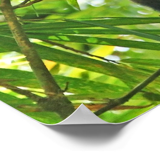 aap in het Oerwoud Bamboe Poster (Hoek)