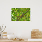 aap in het Oerwoud Bamboe Poster (Keuken)