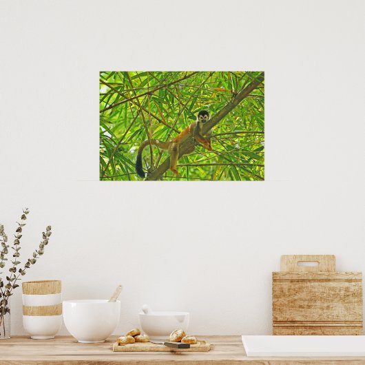 aap in het Oerwoud Bamboe Poster (Keuken)