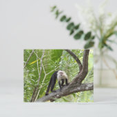 aap in het Oerwoud Briefkaart (Staand voorkant)