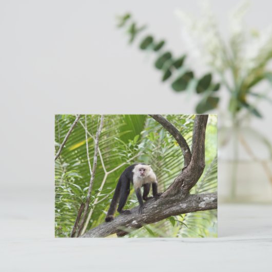 aap in het Oerwoud Briefkaart (Staand voorkant)