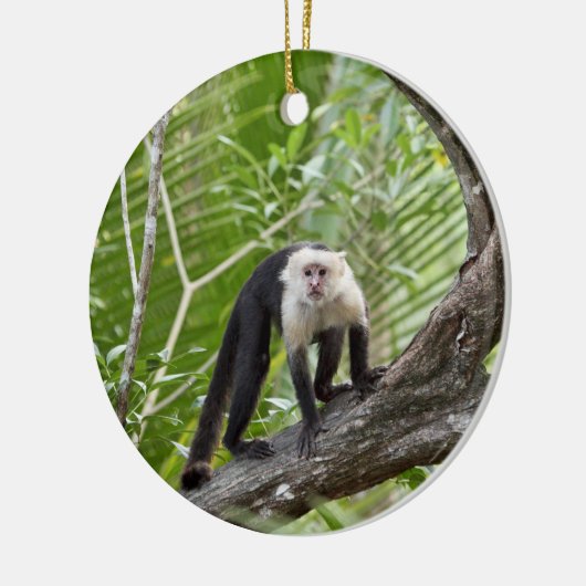 aap in het Oerwoud Keramisch Ornament (Links)