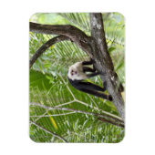 aap in het Oerwoud Magneet (Verticaal)