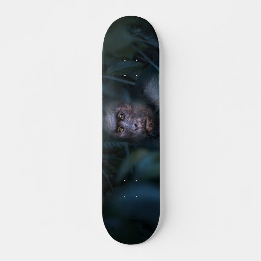 aap in het Oerwoud Persoonlijk Skateboard (Voorkant)