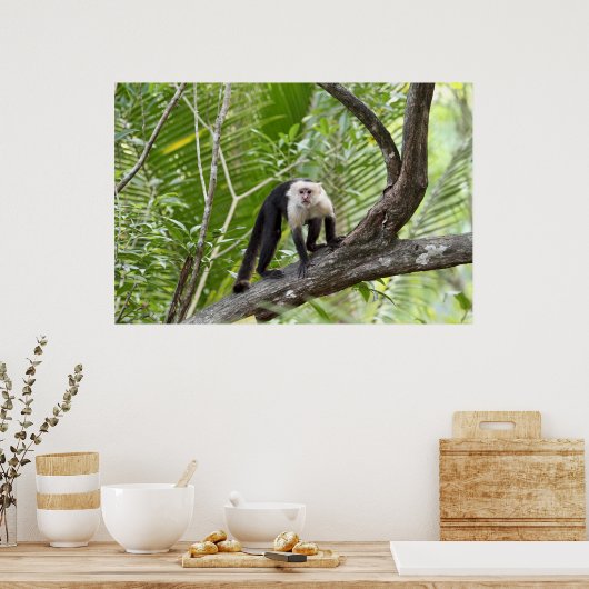 aap in het Oerwoud Poster (Keuken)