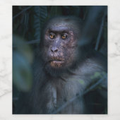 aap in het Oerwoud Wijn Etiket (Enkel label)