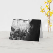 Aap Kaart (Gele Bloem)