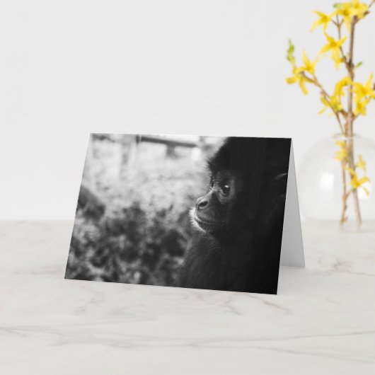 Aap Kaart (Gele Bloem)