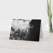 Aap Kaart (Voorkant)