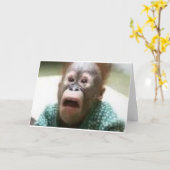 aap kaart (Gele Bloem)