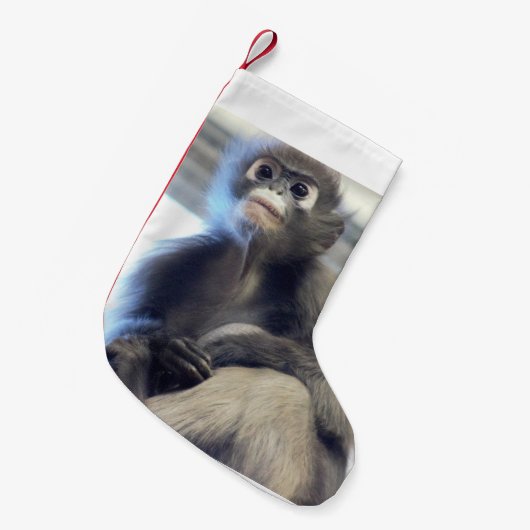 aap kleine kerstsok (Voorkant (Hangend))