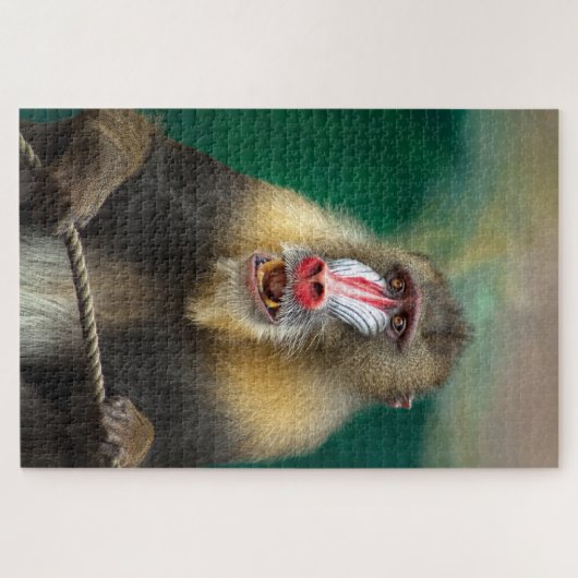 aap legpuzzel (Horizontaal)