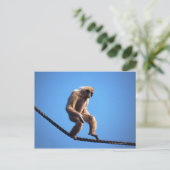 aap loopt over touw briefkaart (Staand voorkant)