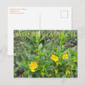 Aap maart briefkaart (Voorkant / Achterkant)