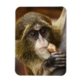 aap magneet (Verticaal)