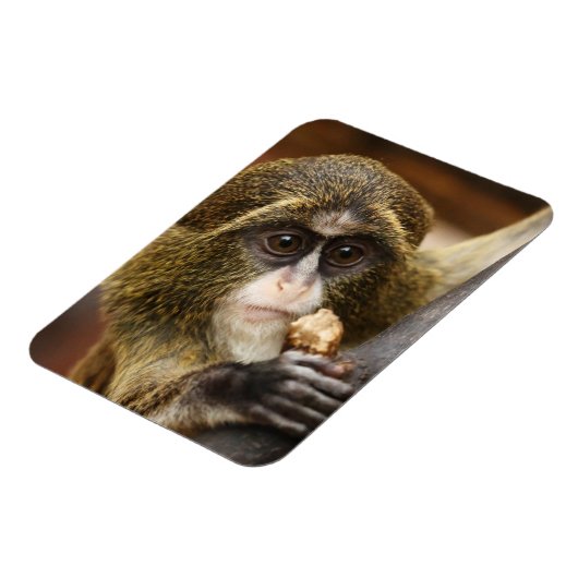 aap magneet (Linkerzijde)